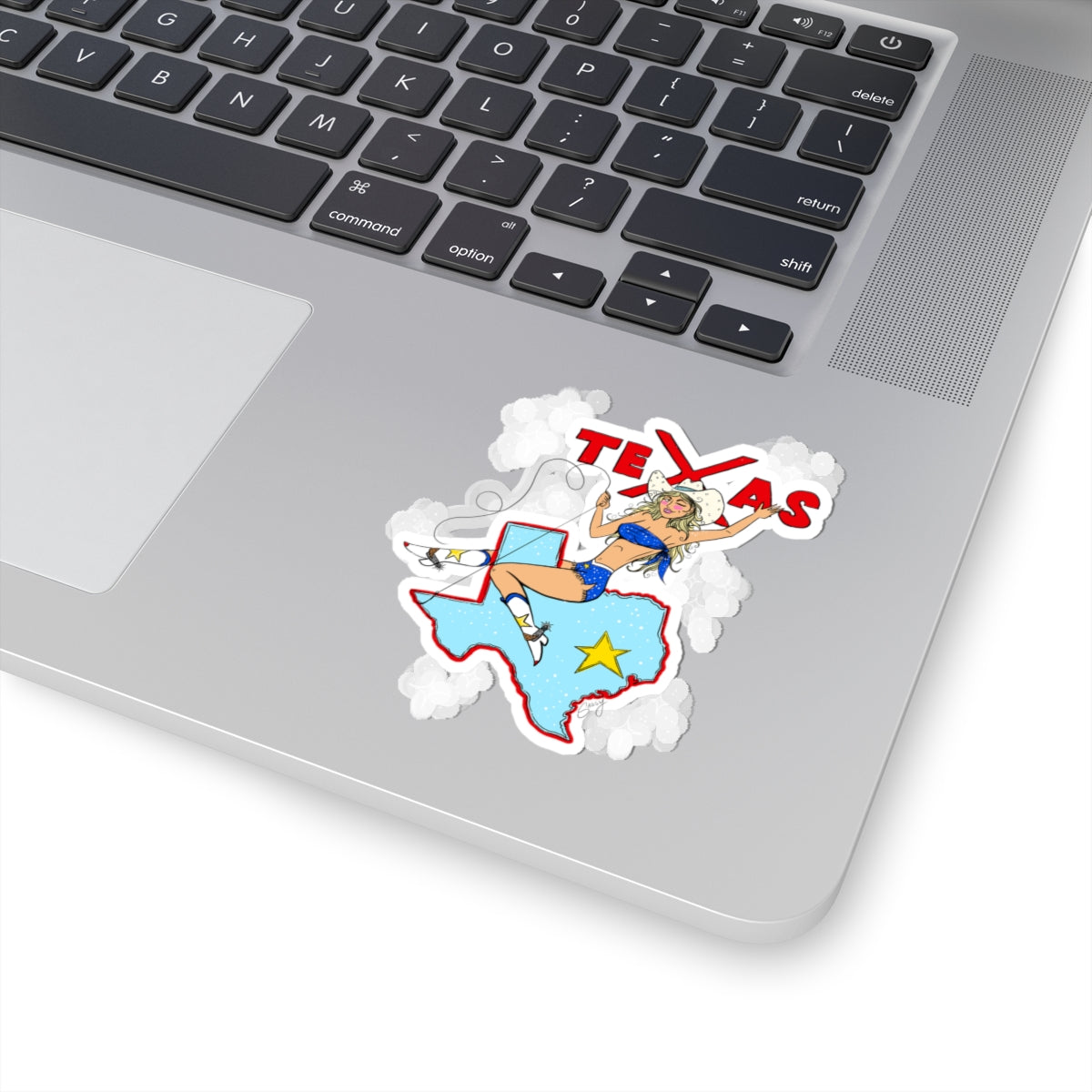 Texas Cowgirl sticker